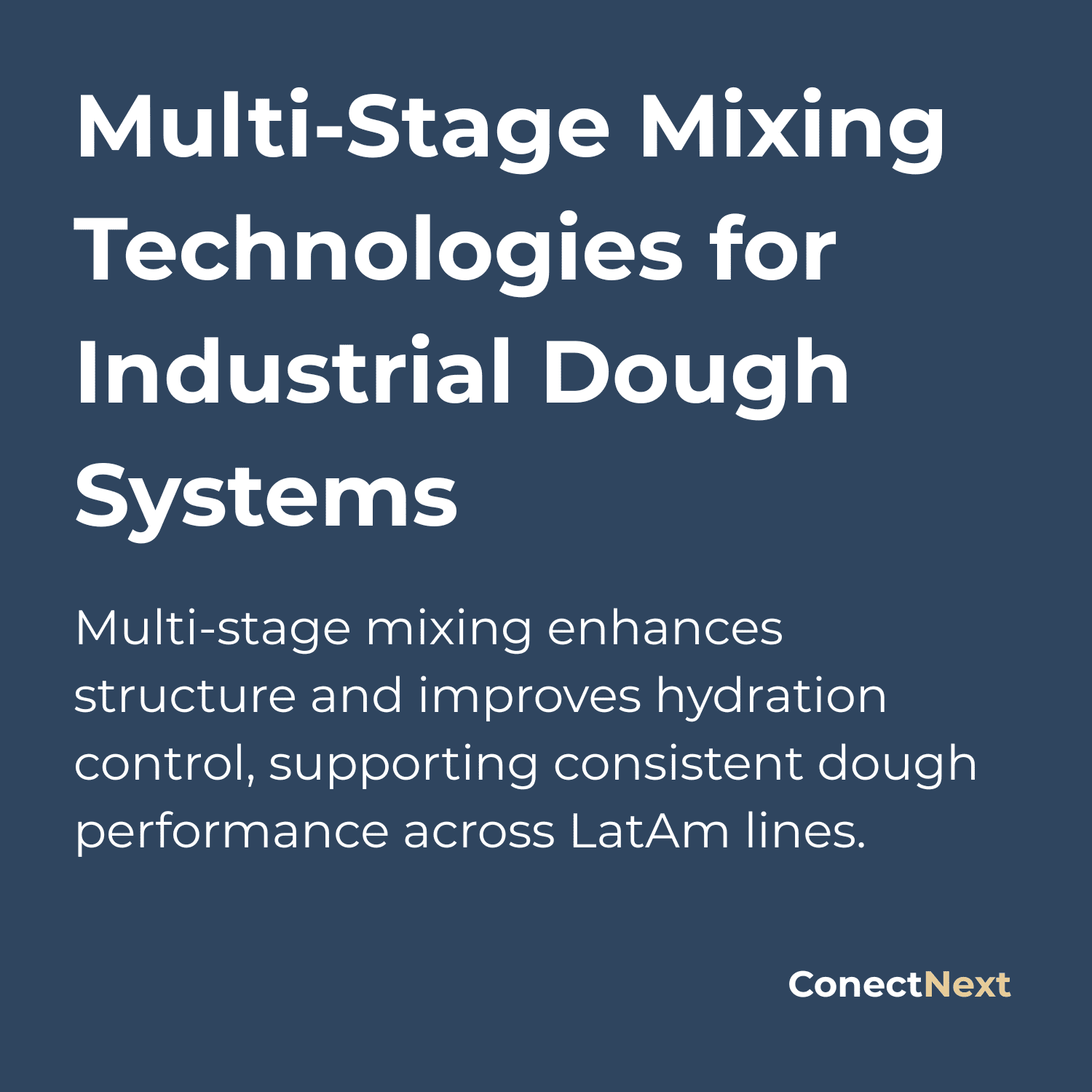 Dough System Multi-Stage Mixing Technologies | Industrial Dough Systems